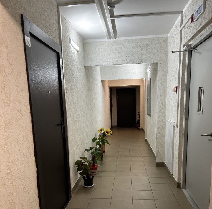 квартира г Красноярск р-н Советский ул Светлова 44 фото 4
