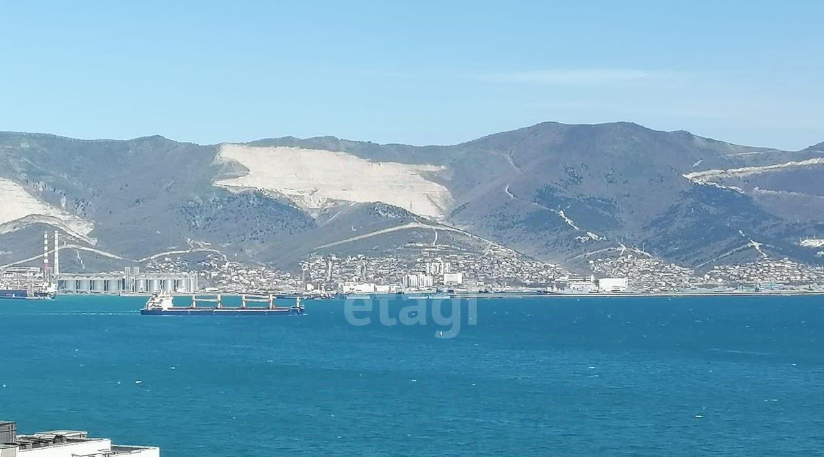 квартира г Новороссийск р-н Центральный ул Куникова 1 фото 17