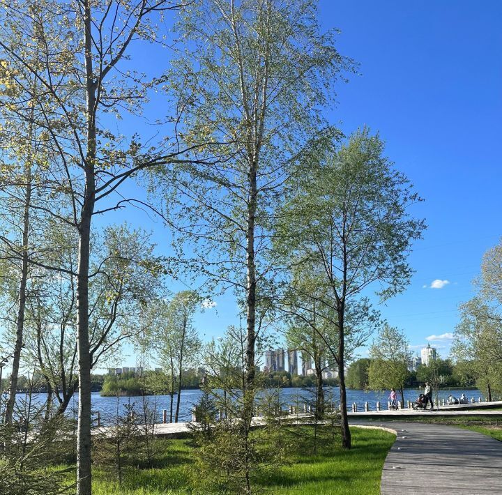 квартира г Красногорск ул Липовой Рощи 6к/2 Липовая Роща фото 16