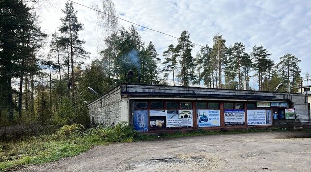 Вырица городской поселок, ул. Вольская фото
