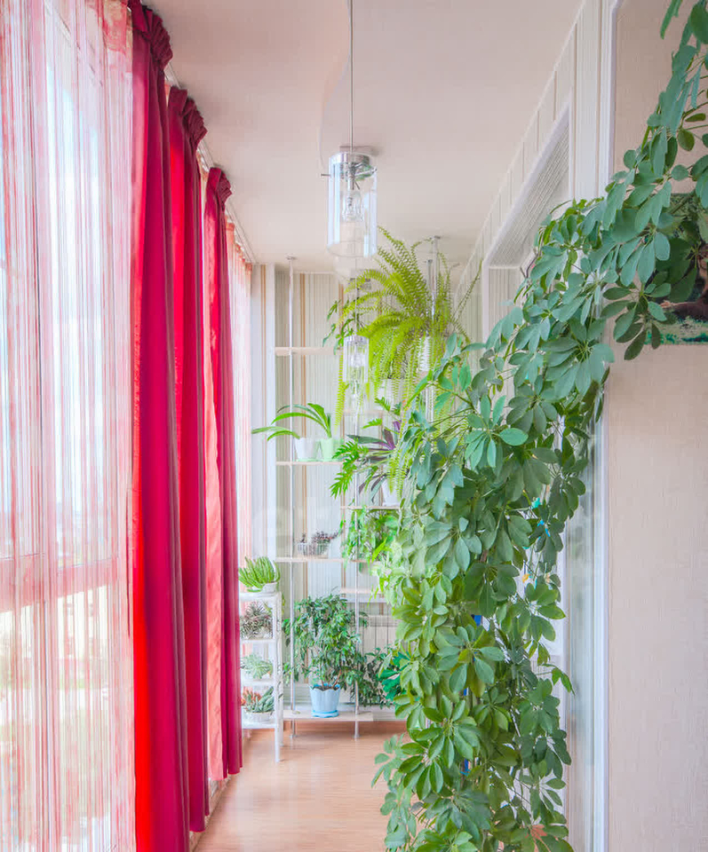 квартира г Томск р-н Советский Трифонова, 22 блок А фото 7