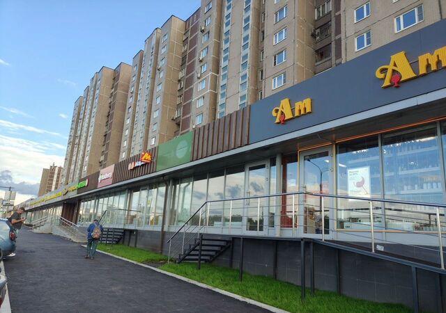 метро Лермонтовский проспект пр-кт Лермонтовский 2к/1 муниципальный округ Выхино-Жулебино фото