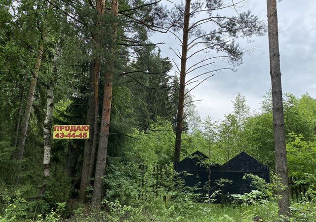 Шиховское сельское поселение, Сказочная ул, Кирово-Чепецк фото