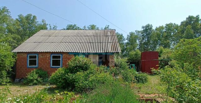 садоводческий массив ЮГРЭС фото