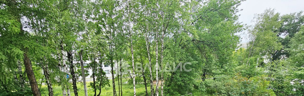 квартира г Пермь р-н Мотовилихинский Городские горки ул Крупской 68 Горки фото 19
