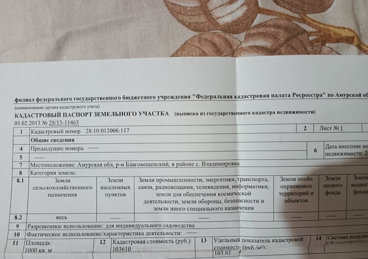 земля г Благовещенск садовые участки фото 2