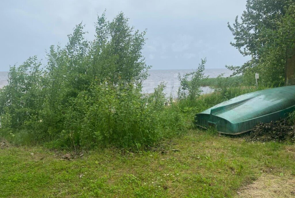 земля р-н Гдовский г Гдов д Луневщина фото 15