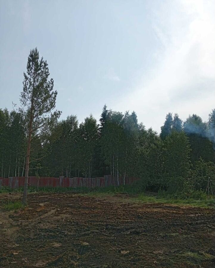 земля г Ревда снт Березовая роща 128, Екатеринбург фото 3