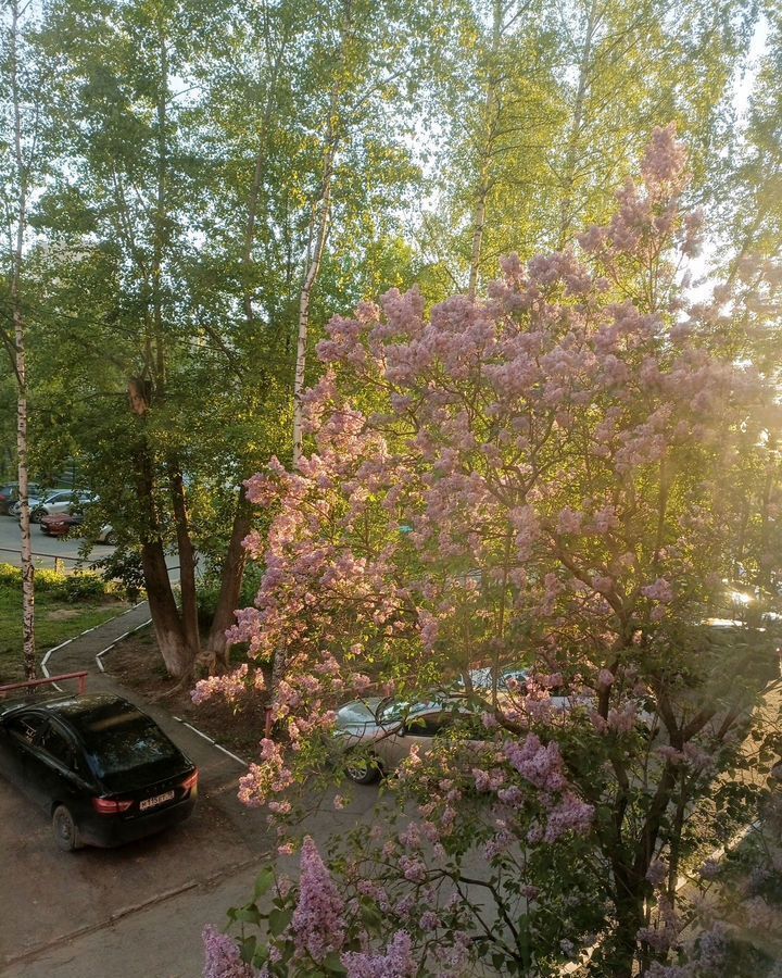 квартира г Ижевск р-н Устиновский Восточный ул Автозаводская 58 фото 15