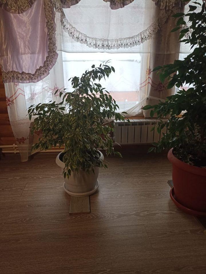 дом г Сургут ул Островского фото 17