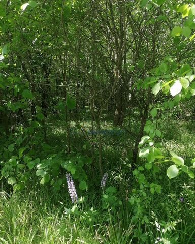 ул Луговая Богородск фото