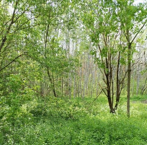 проезд Коммунальный фото