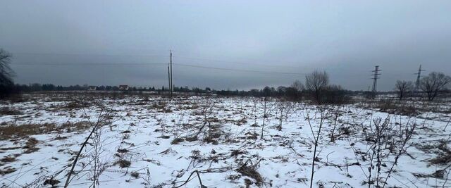 Истра муниципальный округ, д. Рубцово фото