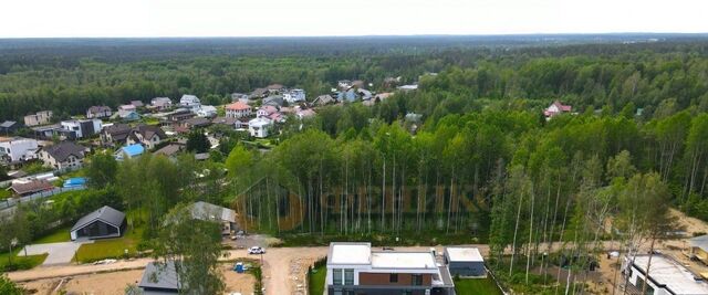 пос, Репиноф кп фото