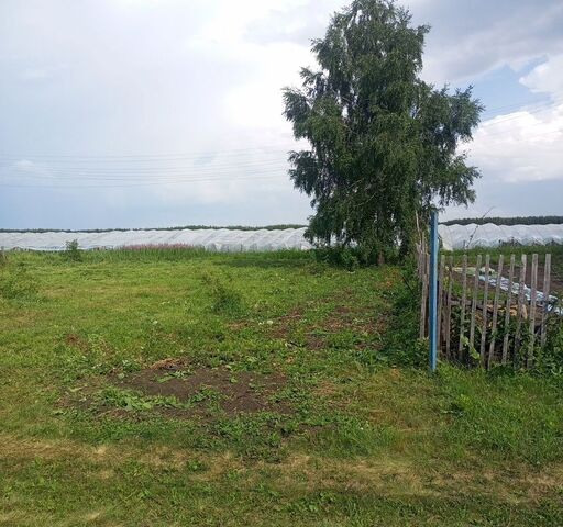 земля снт тер.Курортный Красноярский тракт, 5 км, Красноярское сельское поселение фото