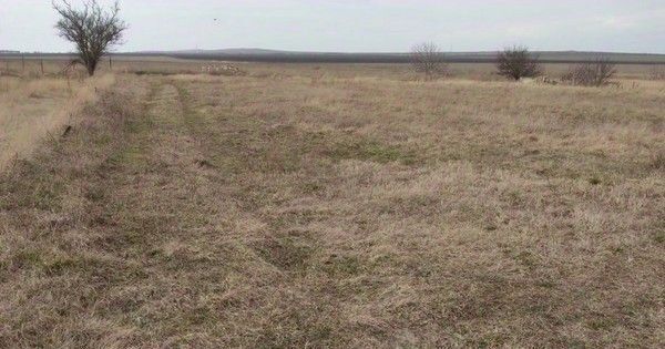 Улица Дыбенко, Заневское городское поселение фото