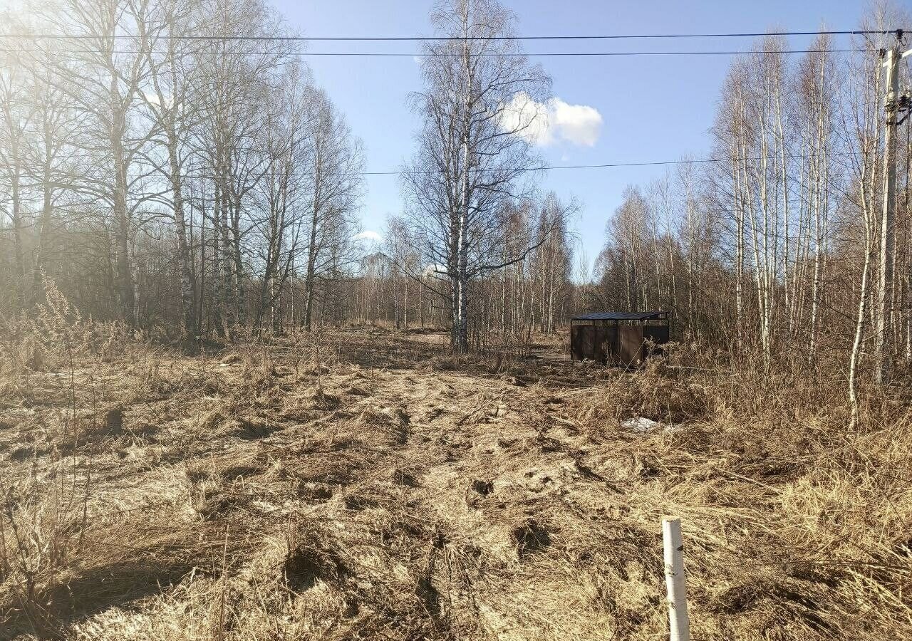 земля г Бор д. Вернягово фото 4