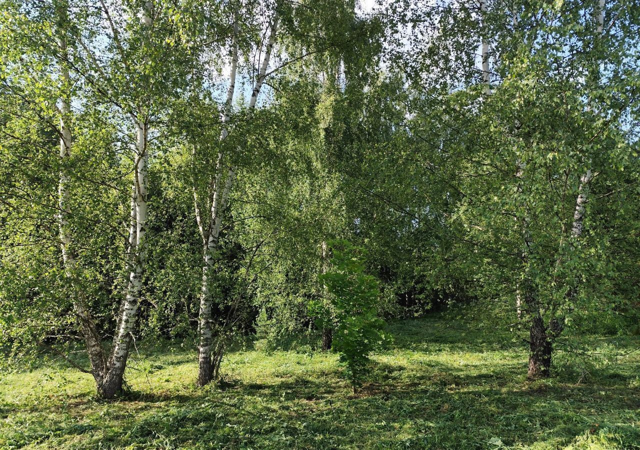 земля г Владимир с Кусуново р-н Октябрьский фото 16