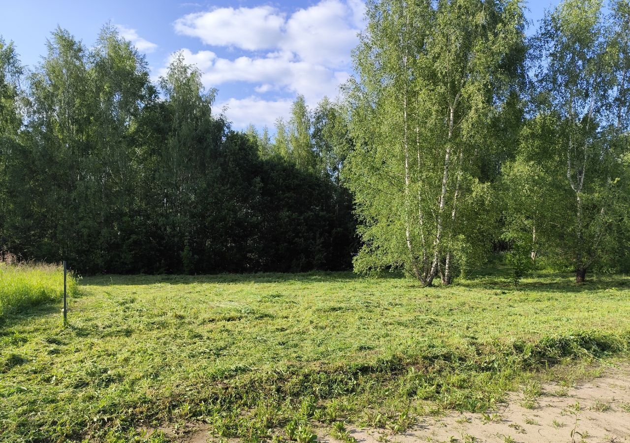 земля г Владимир с Кусуново р-н Октябрьский фото 4