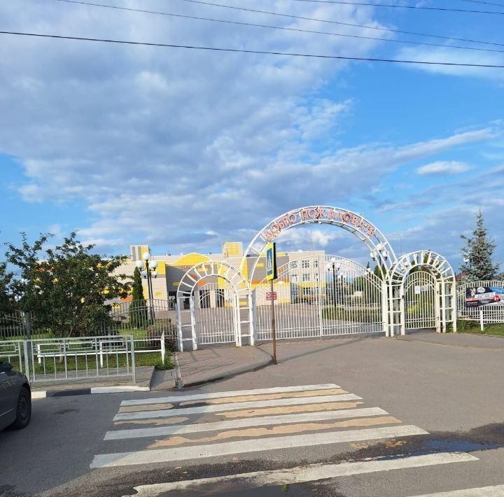 дом г Воронеж р-н Железнодорожный ул Юбилейная 49 фото 21
