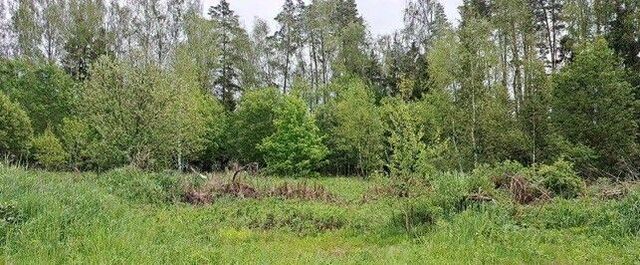 с Трубино фото