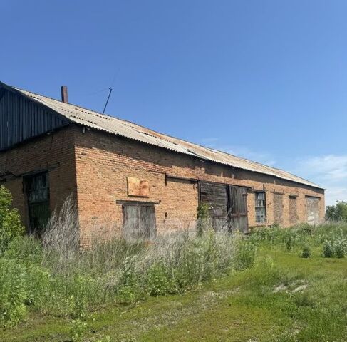 ул Октябрьская 180 фото