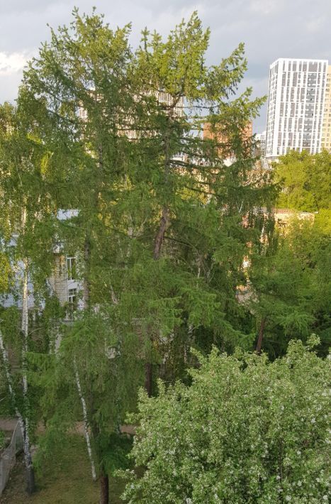 квартира г Екатеринбург Чкаловская ул Фрунзе 20 фото 21