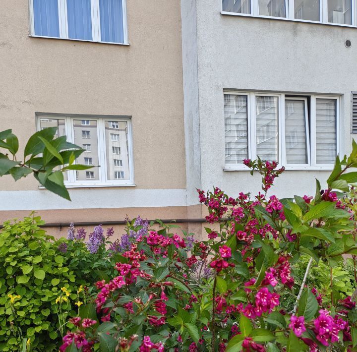 квартира г Калининград р-н Ленинградский ул В.Денисова 22 фото 1