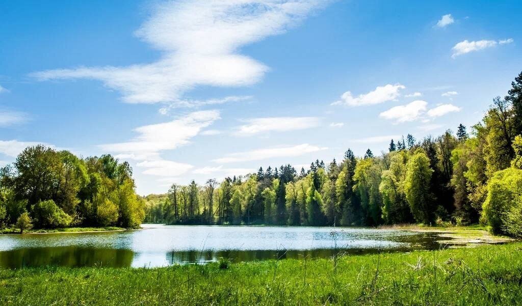 земля г Ступино ул Березовая коттеджный посёлок Шелково Форест фото 6