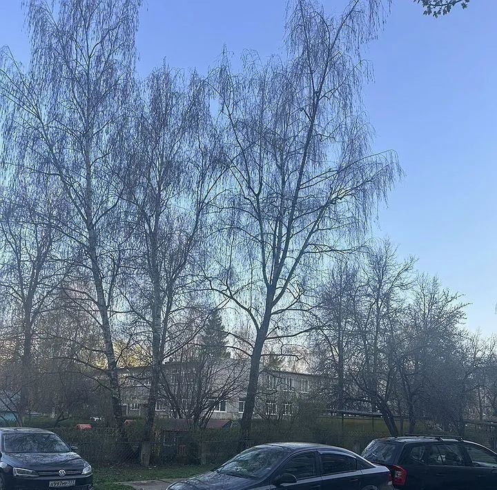 квартира г Коломна район Центральный ул Калинина 10 фото 3