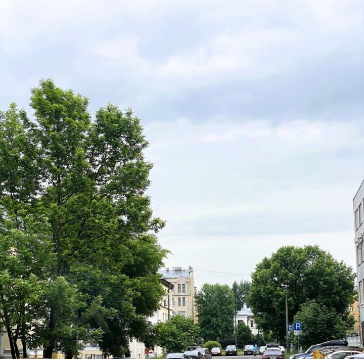 квартира г Санкт-Петербург метро Садовая ул Перевозная 2к/2 округ Коломна фото 12