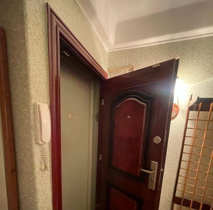 квартира г Санкт-Петербург метро Проспект Ветеранов ул Лётчика Пилютова 13к/1 округ Сосновая Поляна фото 28