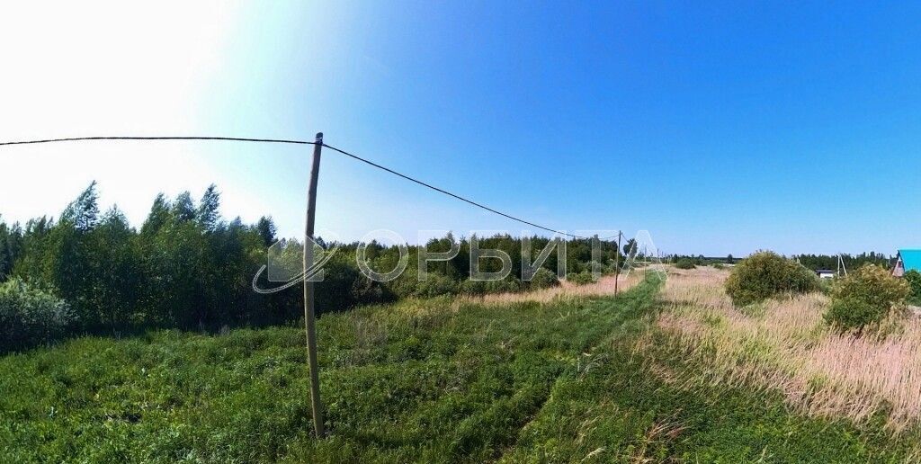 земля г Тюмень снт Большое Царево-2 фото 2