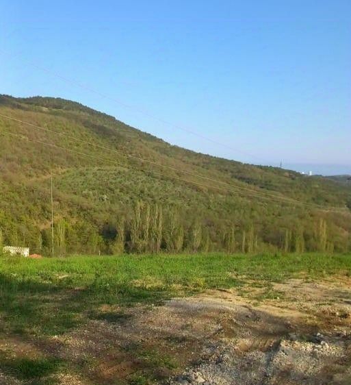 земля г Алушта с Нижняя Кутузовка ул Троицкая фото 2