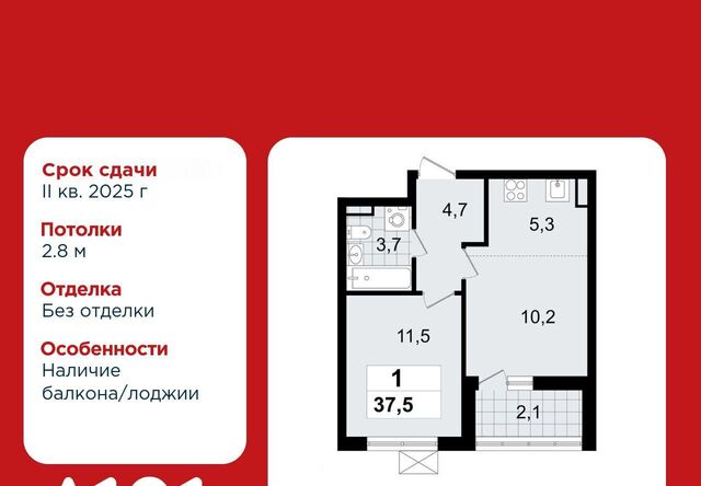 Улица Дыбенко фото