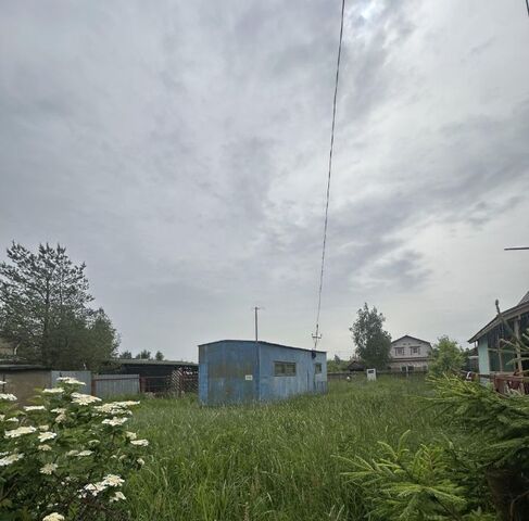 снт Разлив метро Комендантский Проспект дорожка 23-я, 31/70 фото