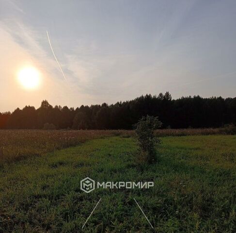Егорово тер фото