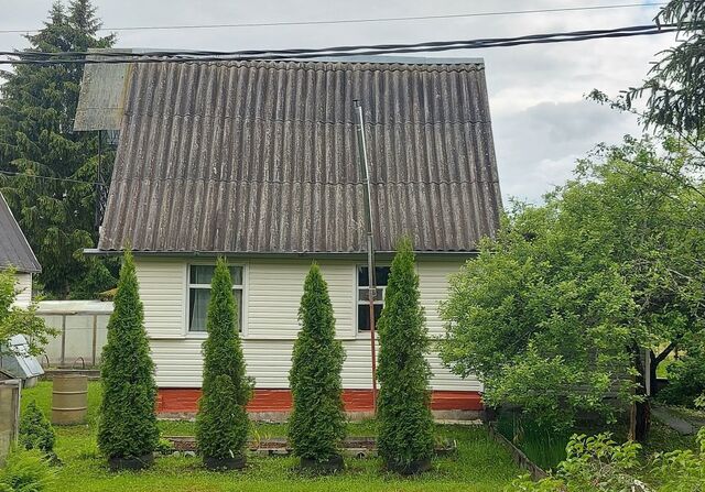 Киевское шоссе, 83 км, Мшинское сельское поселение, 4-я линия, Толмачево, садоводческое некоммерческое товарищество Светоч фото