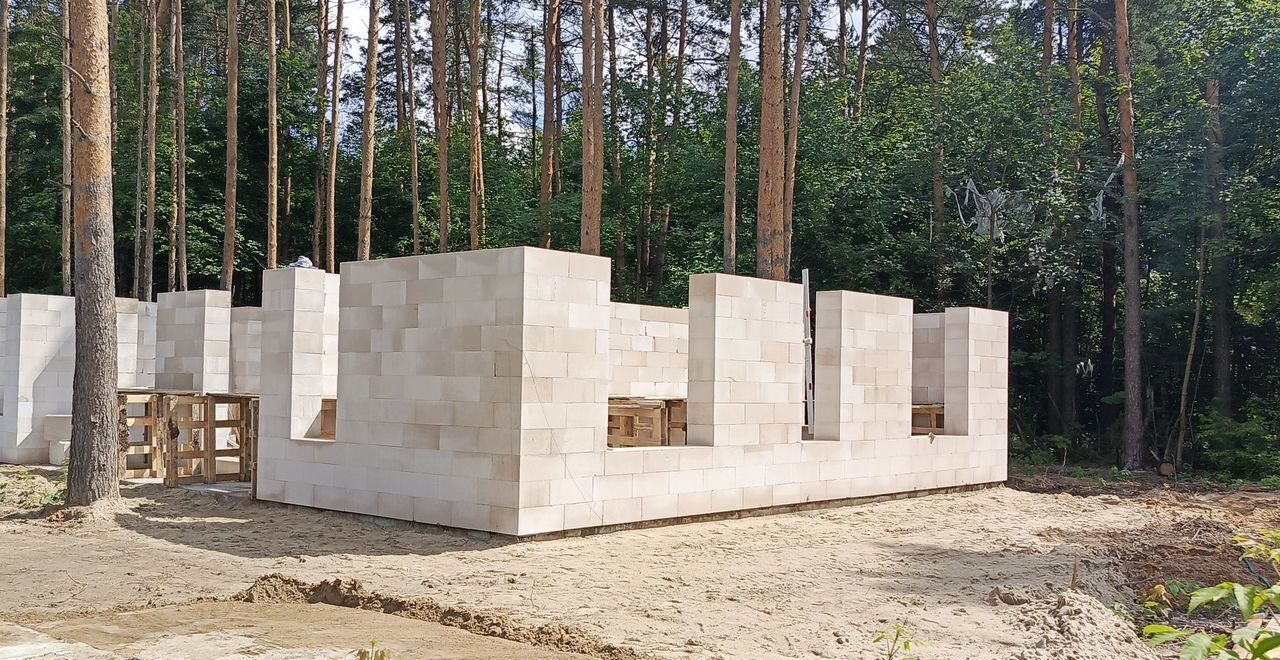 дом городской округ Богородский г Старая Купавна ш Химбазовское 22 км, Горьковское шоссе фото 6