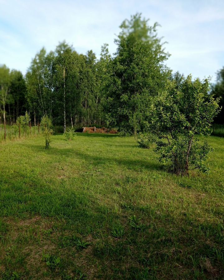 дом г Бор с Линда 15 уч 2, д. Зоренки фото 38