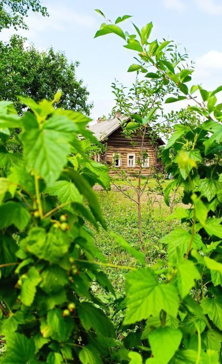 земля р-н Угличский г Углич ул Интернациональная 19 фото 5