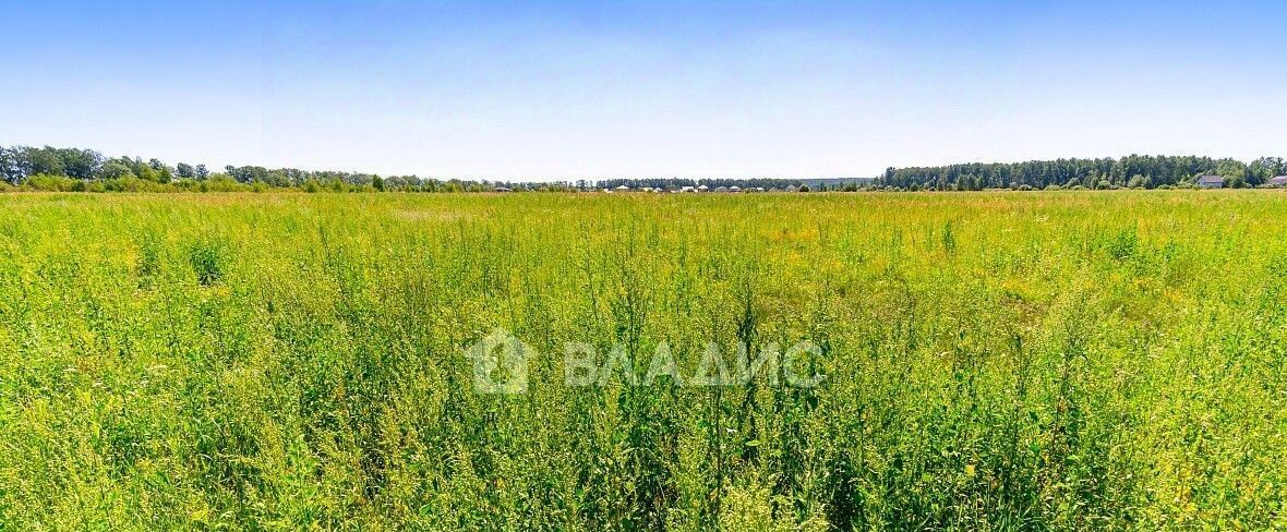 офис городской округ Богородский г Старая Купавна ул Советская Железнодорожная фото 1