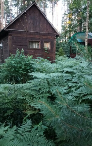 д Кузнецово Ипподром фото