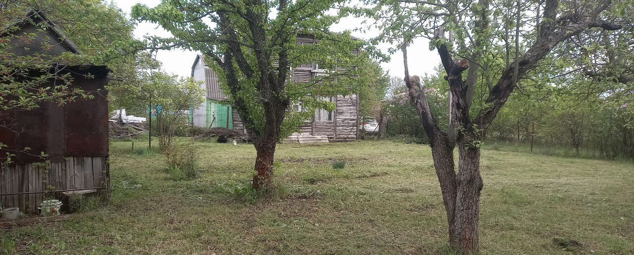 дом г Воронеж р-н Левобережный снт Славянка ул Яблоневая фото 3