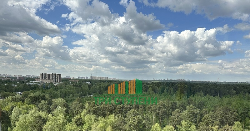 квартира г Балашиха ул Зеленая 36 15Б м-н фото 11