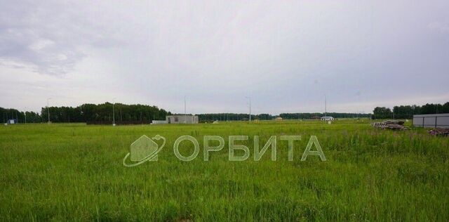 Новокаменский кп, ул. Васнецова фото