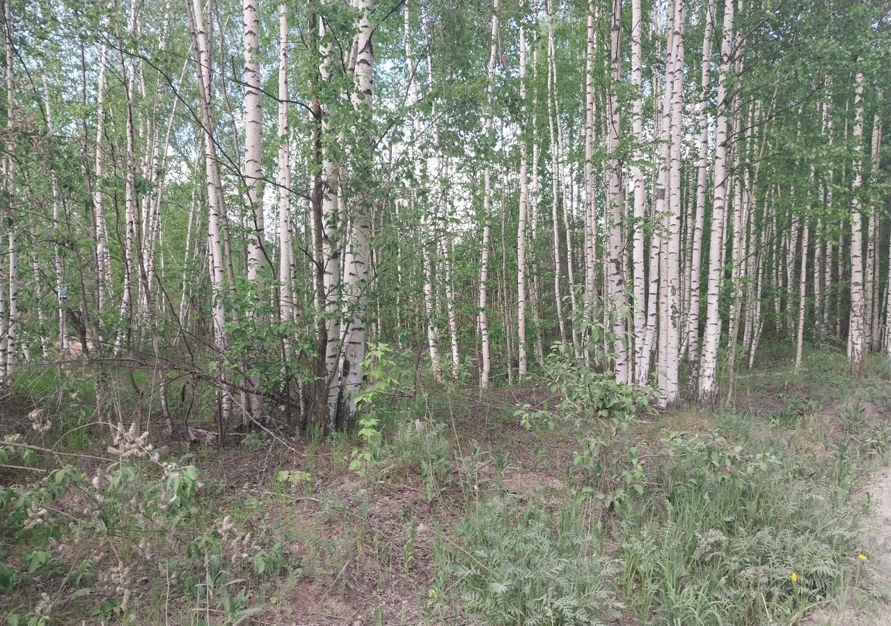 земля г Пермь Нижняя Курья р-н Кировский фото 1