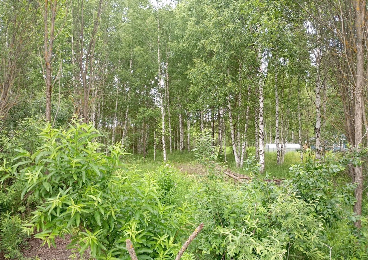 земля г Ижевск ул Солнечная 24 Завьяловский р-н, ДНТ Соловушки фото 7