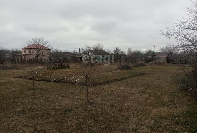 ст-ца Раевская ул Маяковского фото