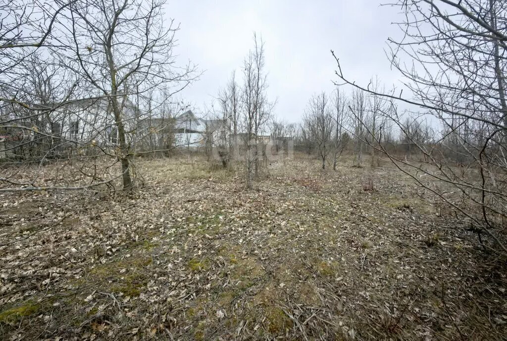 земля г Новороссийск с Борисовка фото 10